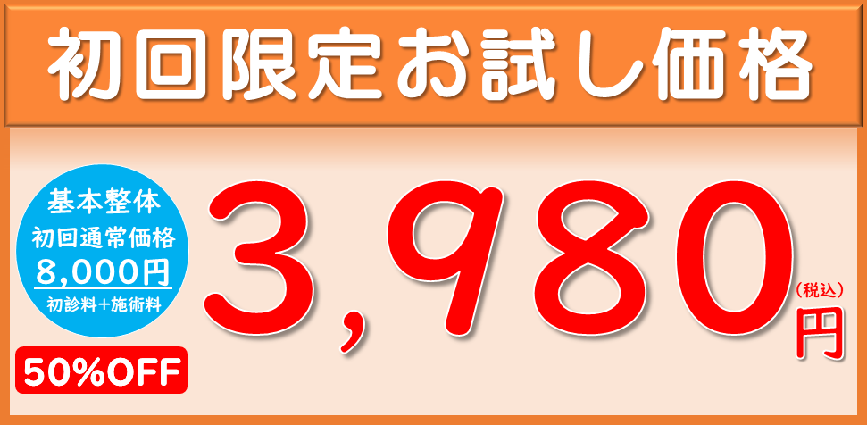 初回限定お試し価格