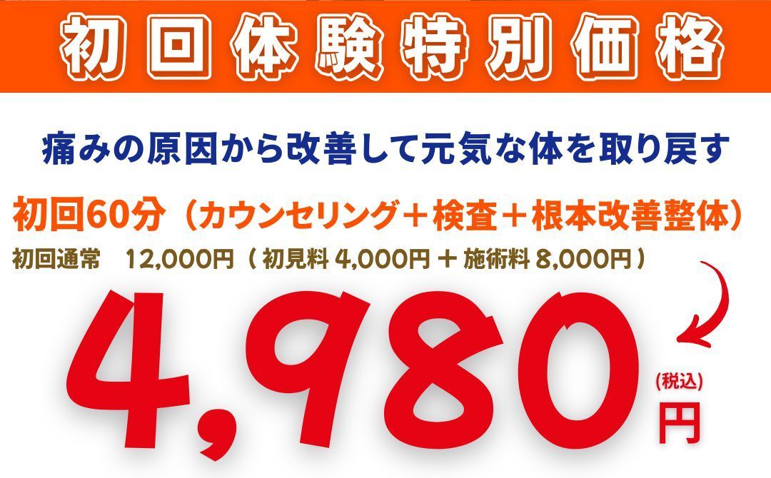 初回限定お試し価格