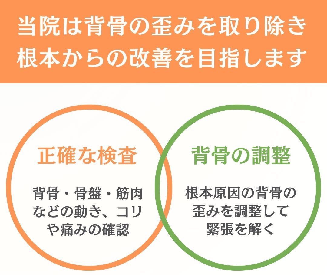 施術の特徴：背骨の歪みを取り除き、根本からの改善を目指します