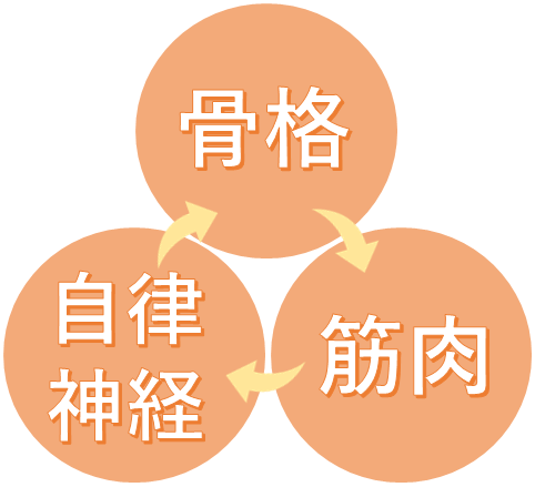 骨格・筋肉・自律神経を整える