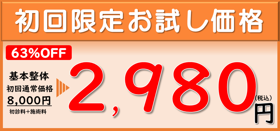 初回お試し価格